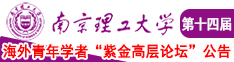 乱操骚逼热播南京理工大学第十四届海外青年学者紫金论坛诚邀海内外英才！